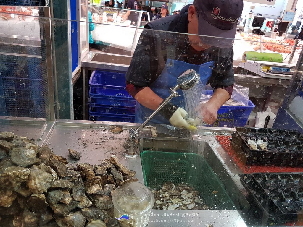 Seafood Fish Market Sydney Australian 003