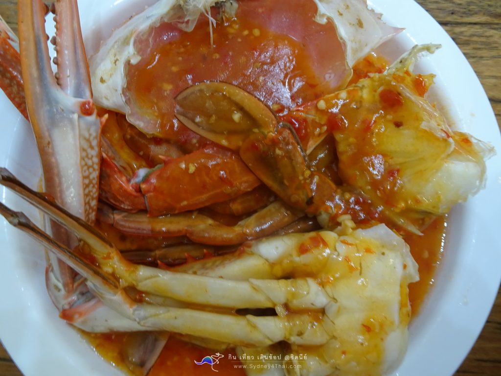  Sydney4Thai ตะลุยกิน Fish Market Sydney 