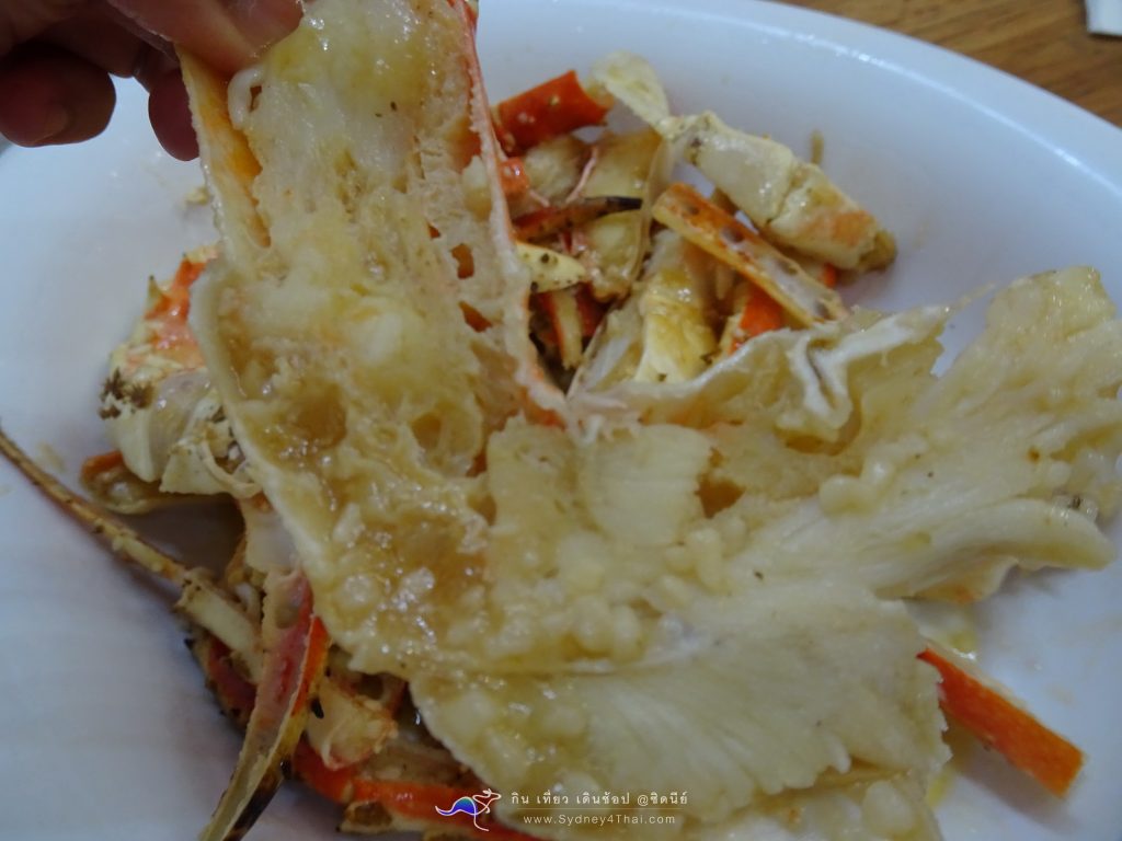  Sydney4Thai ตะลุยกิน Fish Market Sydney 003