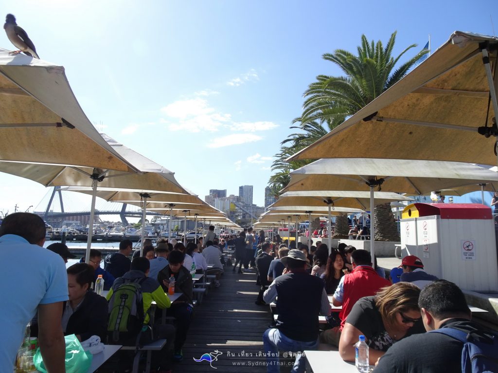  Fish Market Sydney Sydney4Thai