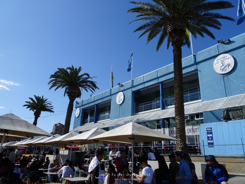 เที่ยว Fish Market Sydney 001