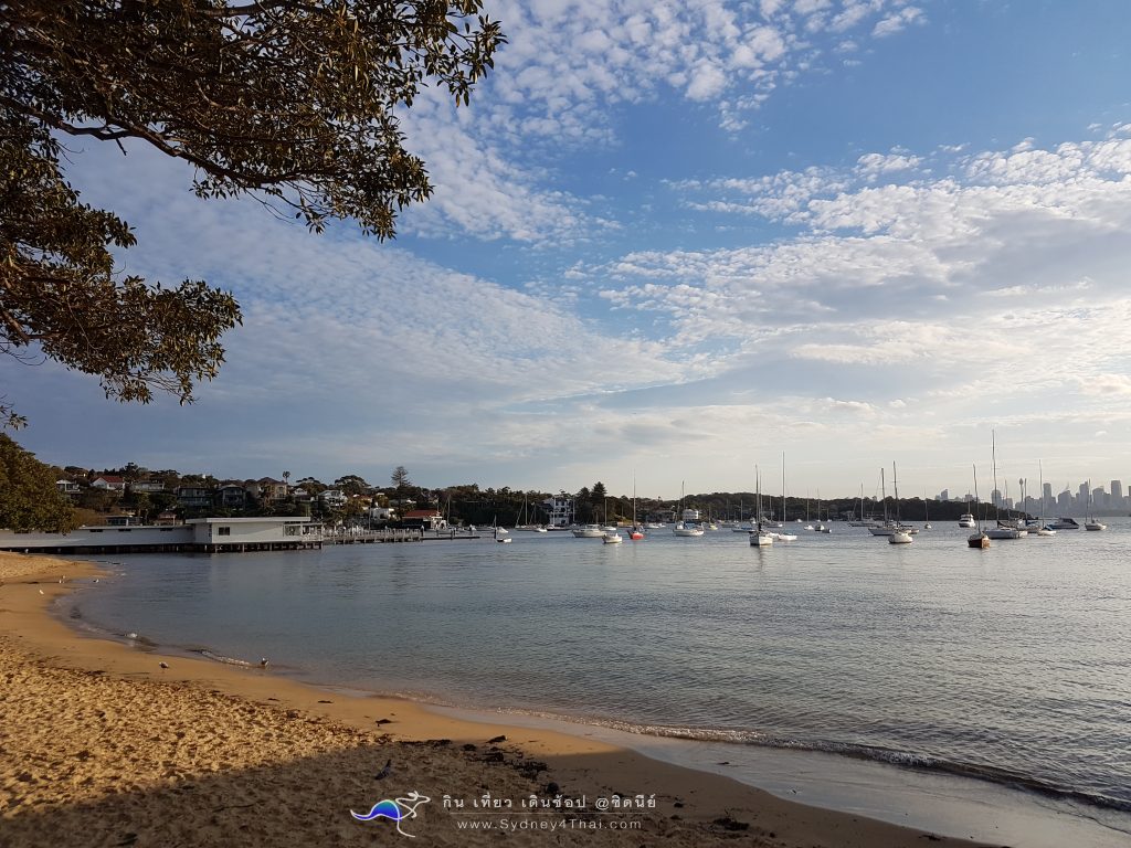 เที่ยว ซิดนีย์ Watson Bay Beach