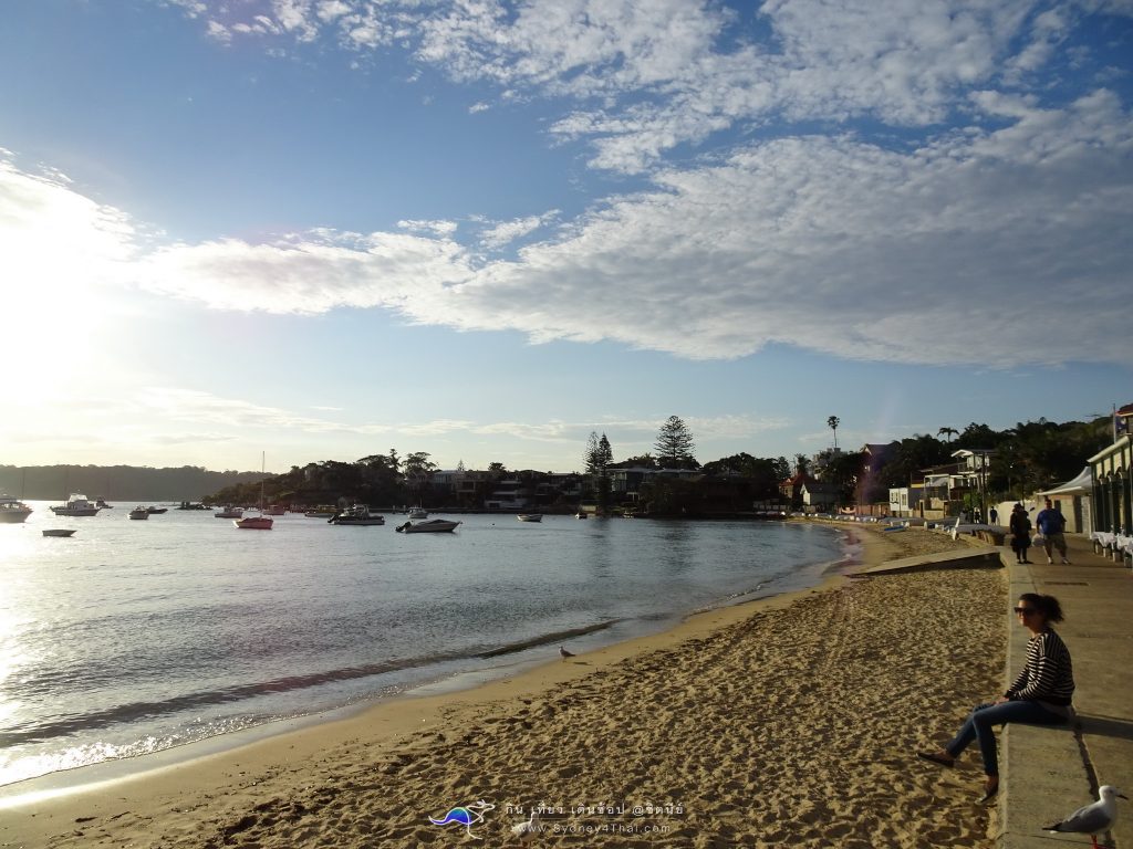 หาด Watsons Bay