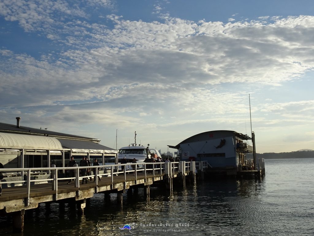 เที่ยว ซิดนีย์ Watson Bay Wharf