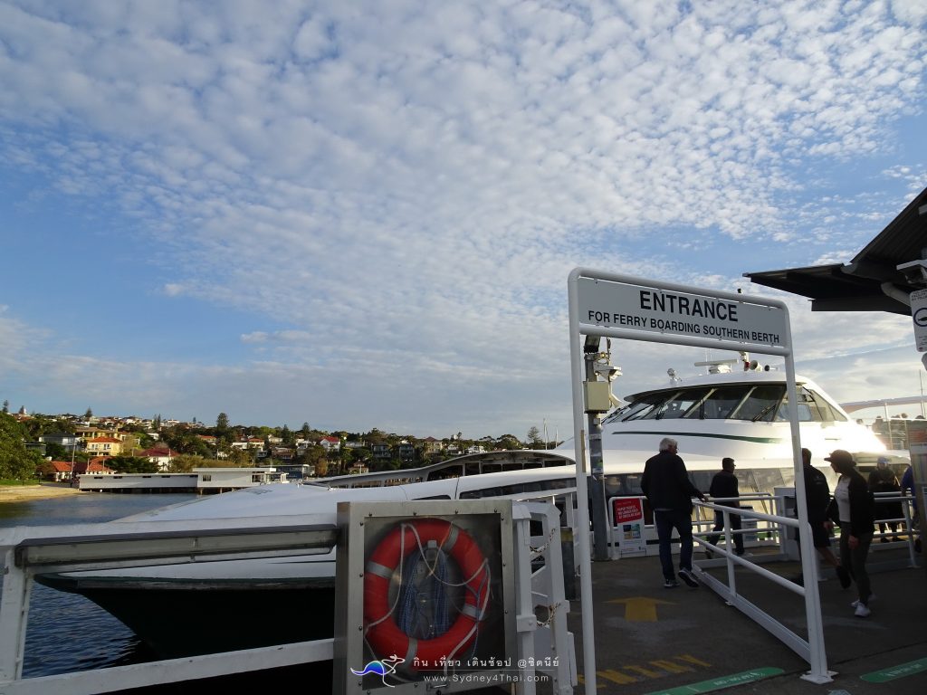 เที่ยว ซิดนีย์ Watson Bay Wharf Transport 