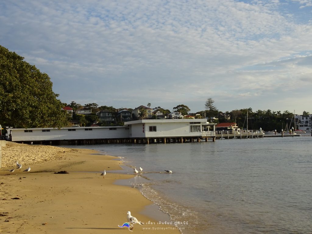 เที่ยว ซิดนีย์ Watson Bay ประเทศออสเตรเลีย