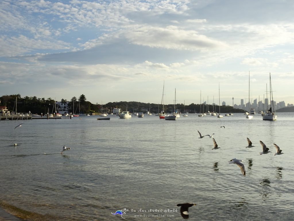 เที่ยว ซิดนีย์ ท่าเรือ Watson Bay