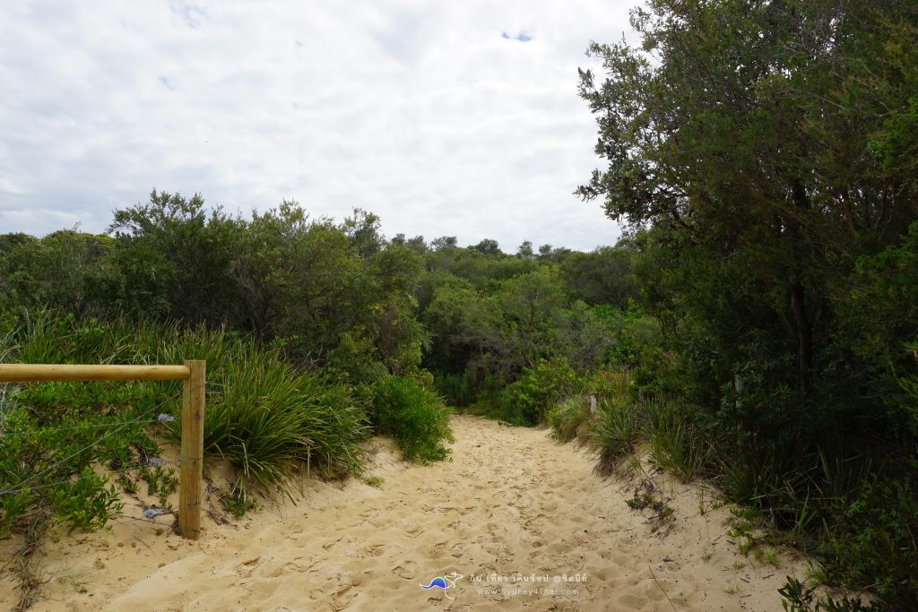 Congwong Beach - La Perouse 002