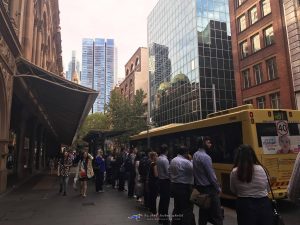 Sydney Bus Stop ระบบขนส่ง สาธารณะ ซิดนีย์ 