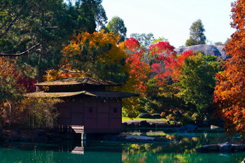 10 สถานที่ท่องเที่ยวซิดนีย์ ฤดูใบไม้ผลิ