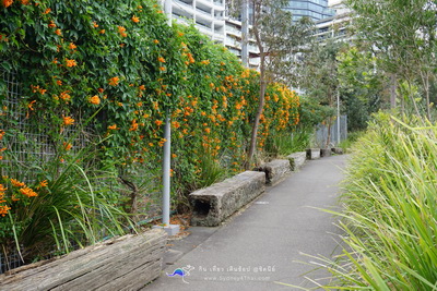 เที่ยว Luna Park Landmark ของซิดนีย์ Wendy's Secret Garden  000