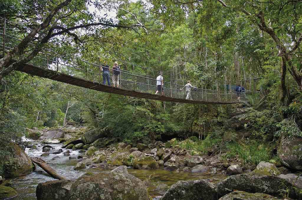 20 สถานที่ ท่องเที่ยวเมืองแคนส์  และกิจกรรมมันส์ๆ - Cairns 001