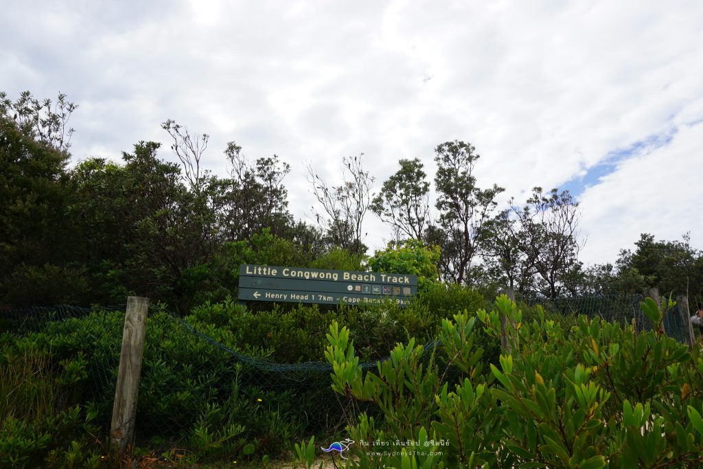 หาดเปลือย Nudes Beach little Congwong Beach -